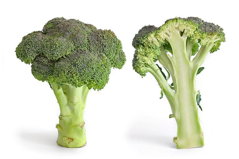 Broccoli, Chinese Cabbage & White Radish